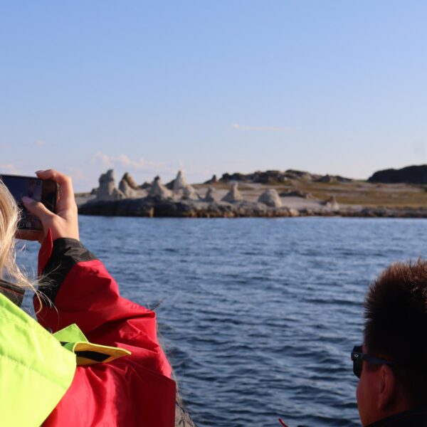 bilder reinøya porsanger tilbud turer safari